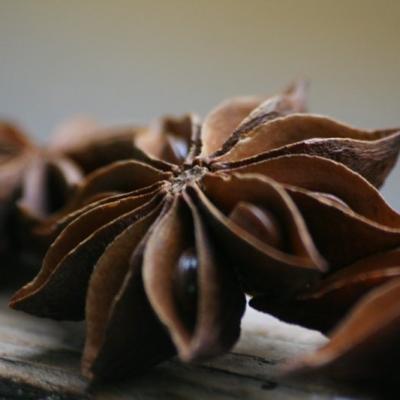 Macro Artist
